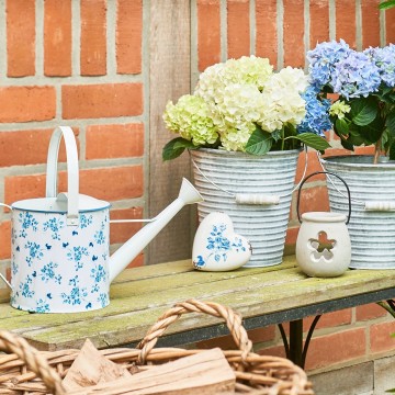 1019647 ambientebild