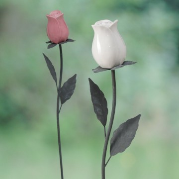 1020095 ambientebild