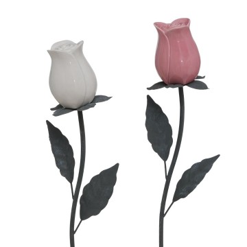 1020095 freisteller hauptbild