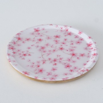 2007515 einzelbild 2