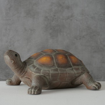 2009726 ambientebild