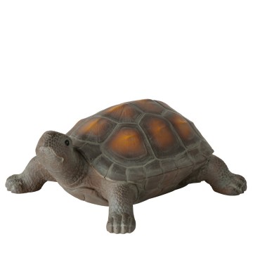 2009726 freisteller hauptbild