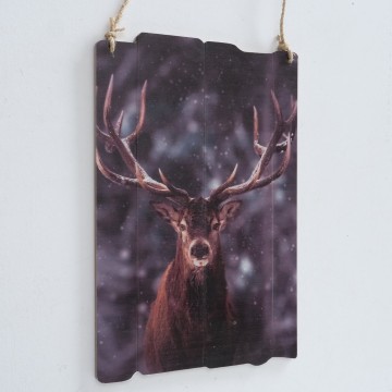 2016390 einzelbild 2