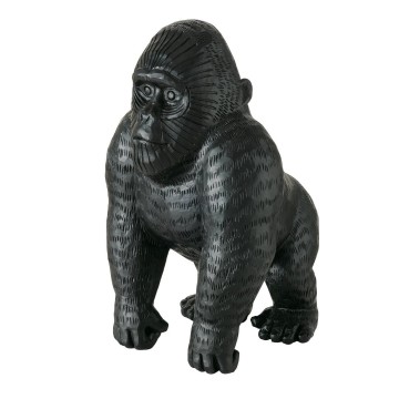 2021507 freisteller hauptbild