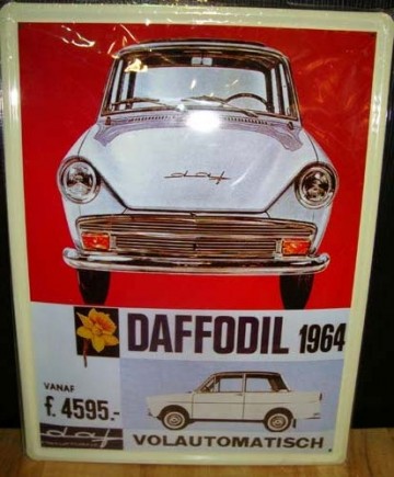 daffodil 1964